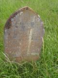 image of grave number 272320
